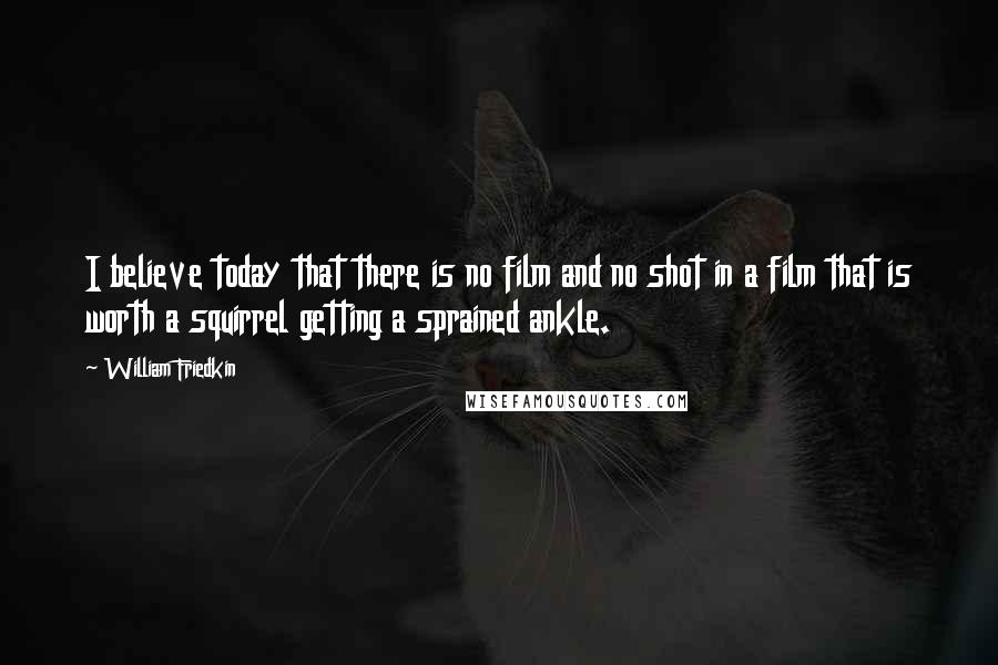 William Friedkin Quotes: I believe today that there is no film and no shot in a film that is worth a squirrel getting a sprained ankle.