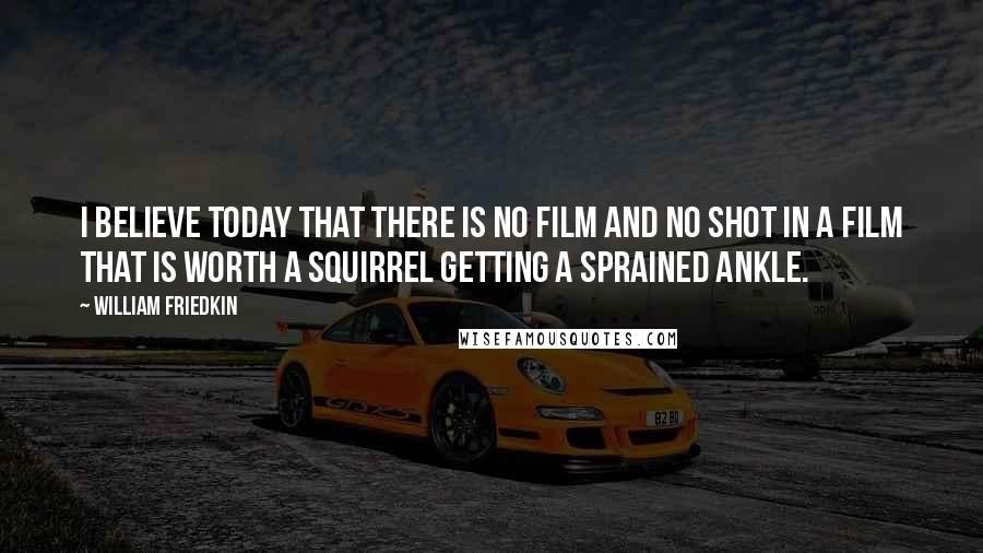 William Friedkin Quotes: I believe today that there is no film and no shot in a film that is worth a squirrel getting a sprained ankle.