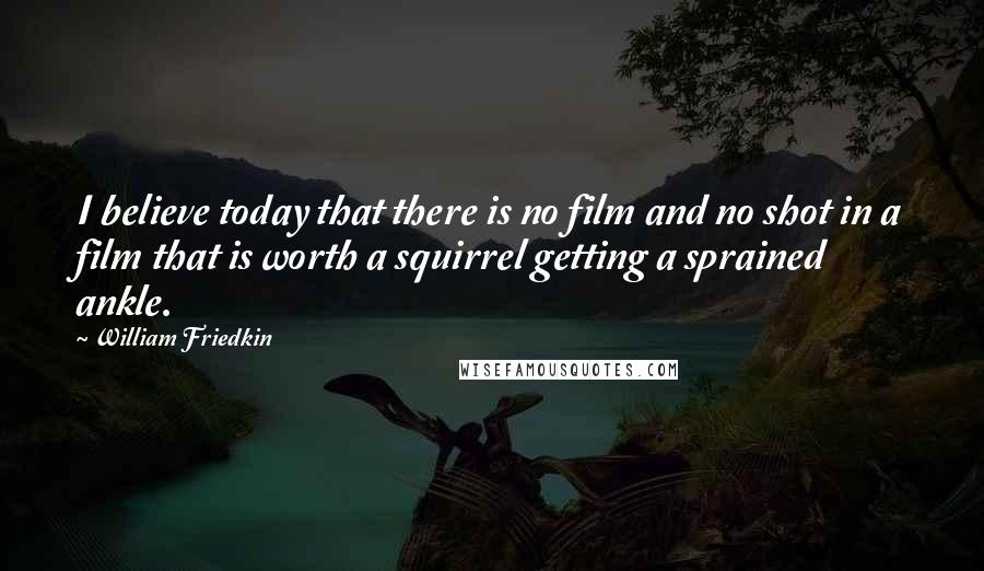 William Friedkin Quotes: I believe today that there is no film and no shot in a film that is worth a squirrel getting a sprained ankle.