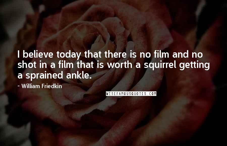 William Friedkin Quotes: I believe today that there is no film and no shot in a film that is worth a squirrel getting a sprained ankle.