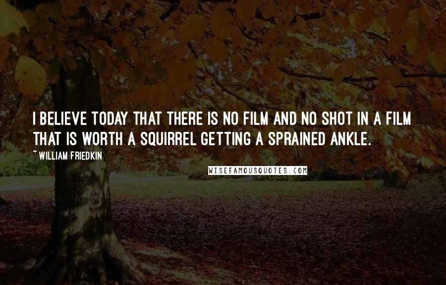 William Friedkin Quotes: I believe today that there is no film and no shot in a film that is worth a squirrel getting a sprained ankle.