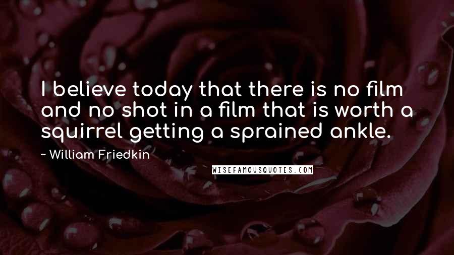 William Friedkin Quotes: I believe today that there is no film and no shot in a film that is worth a squirrel getting a sprained ankle.