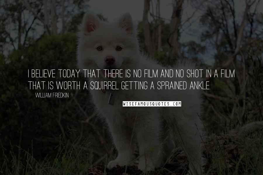 William Friedkin Quotes: I believe today that there is no film and no shot in a film that is worth a squirrel getting a sprained ankle.