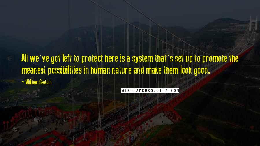 William Gaddis Quotes: All we've got left to protect here is a system that's set up to promote the meanest possibilities in human nature and make them look good.