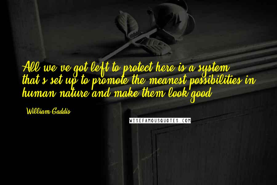 William Gaddis Quotes: All we've got left to protect here is a system that's set up to promote the meanest possibilities in human nature and make them look good.