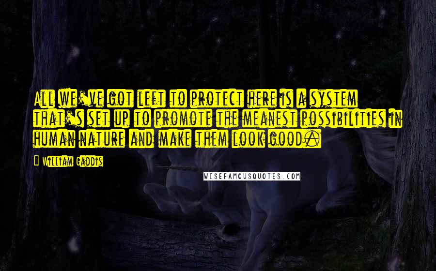 William Gaddis Quotes: All we've got left to protect here is a system that's set up to promote the meanest possibilities in human nature and make them look good.