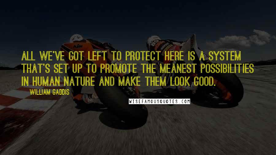 William Gaddis Quotes: All we've got left to protect here is a system that's set up to promote the meanest possibilities in human nature and make them look good.