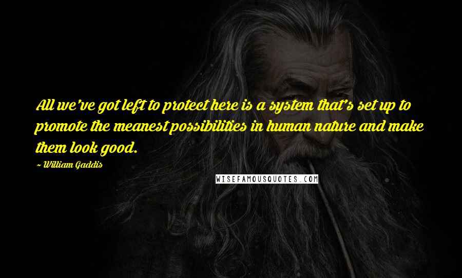 William Gaddis Quotes: All we've got left to protect here is a system that's set up to promote the meanest possibilities in human nature and make them look good.