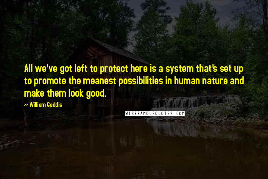 William Gaddis Quotes: All we've got left to protect here is a system that's set up to promote the meanest possibilities in human nature and make them look good.