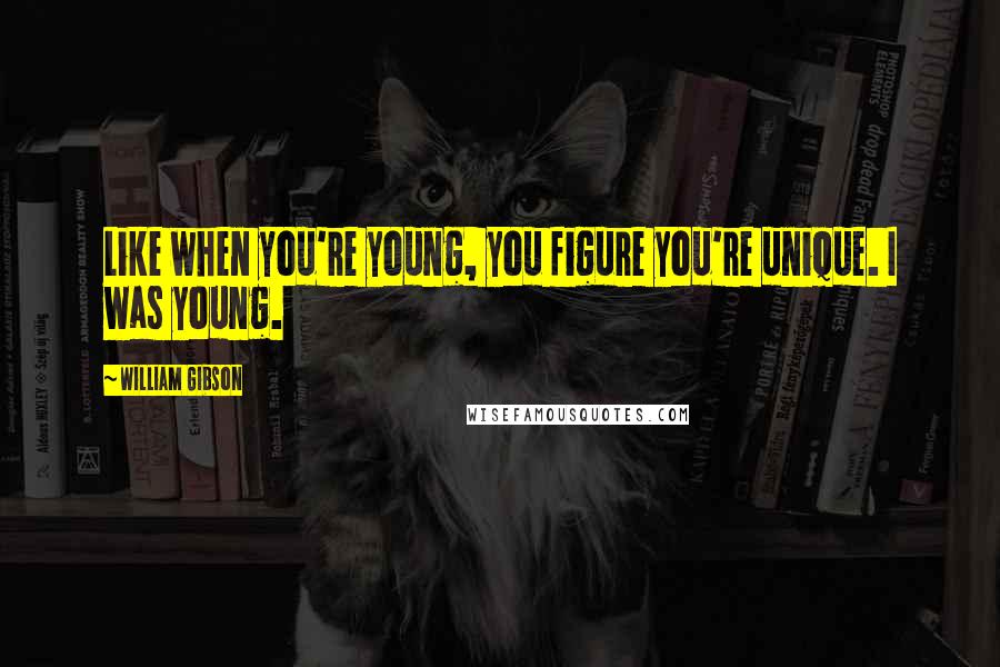 William Gibson Quotes: Like when you're young, you figure you're unique. I was young.