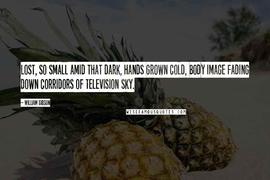 William Gibson Quotes: Lost, so small amid that dark, hands grown cold, body image fading down corridors of television sky.