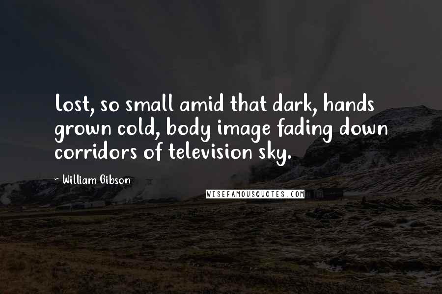 William Gibson Quotes: Lost, so small amid that dark, hands grown cold, body image fading down corridors of television sky.