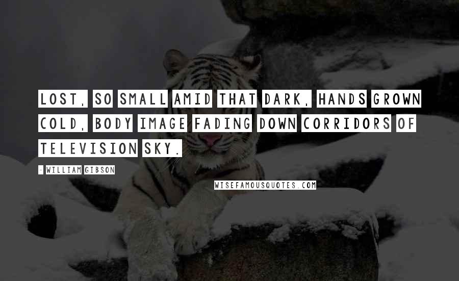 William Gibson Quotes: Lost, so small amid that dark, hands grown cold, body image fading down corridors of television sky.