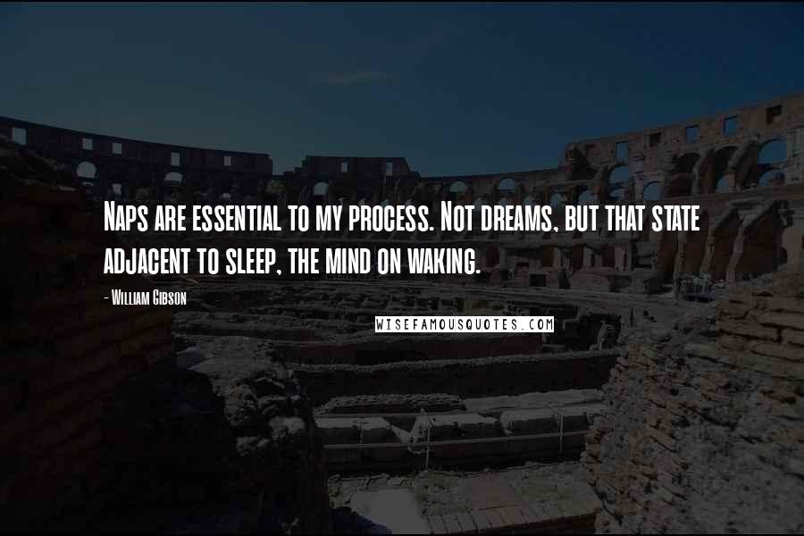 William Gibson Quotes: Naps are essential to my process. Not dreams, but that state adjacent to sleep, the mind on waking.