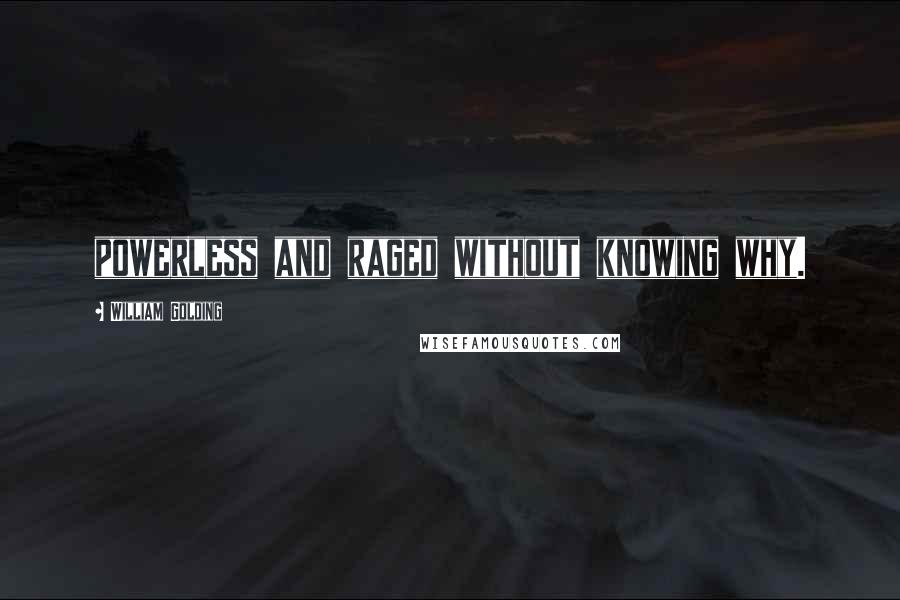 William Golding Quotes: powerless and raged without knowing why.