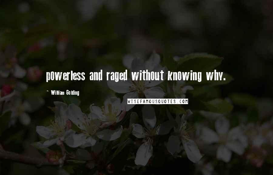 William Golding Quotes: powerless and raged without knowing why.