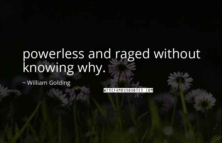 William Golding Quotes: powerless and raged without knowing why.