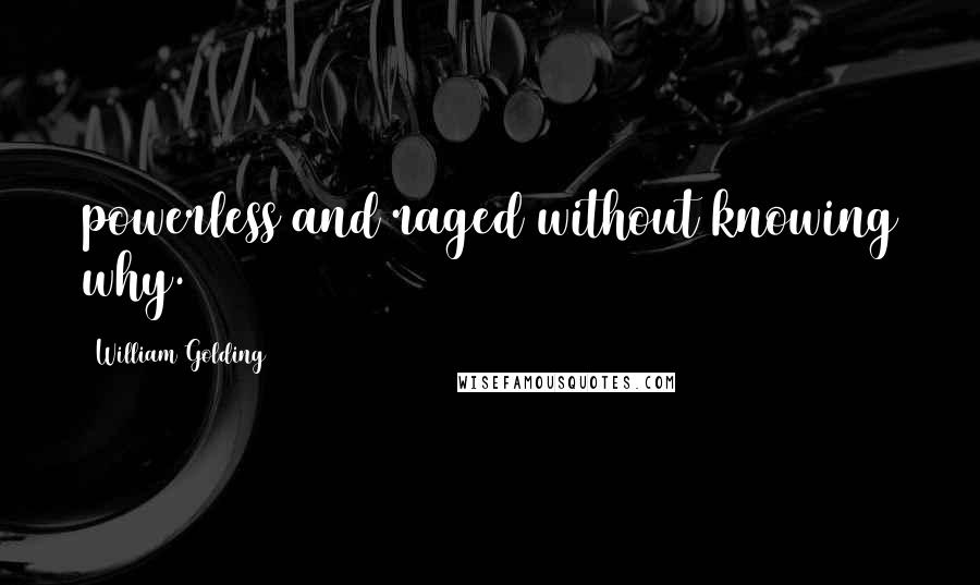 William Golding Quotes: powerless and raged without knowing why.