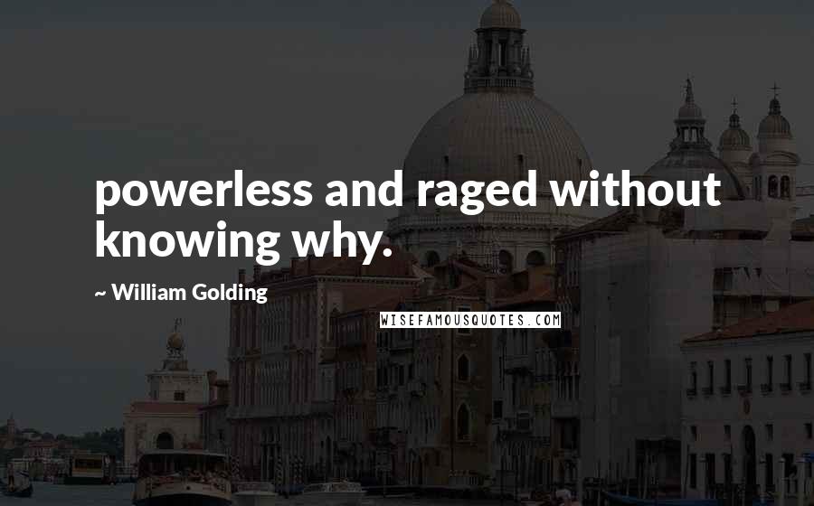 William Golding Quotes: powerless and raged without knowing why.