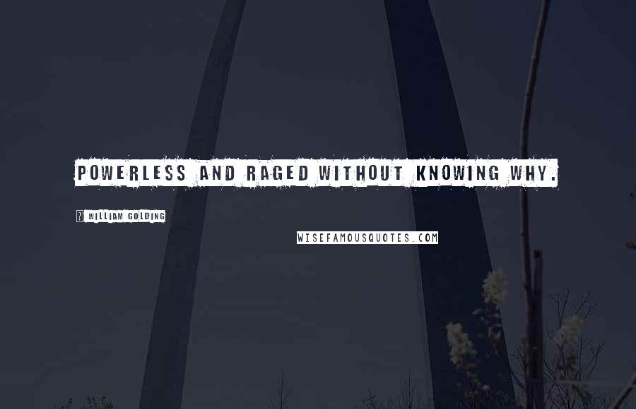 William Golding Quotes: powerless and raged without knowing why.