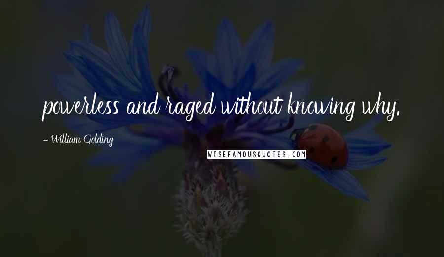 William Golding Quotes: powerless and raged without knowing why.