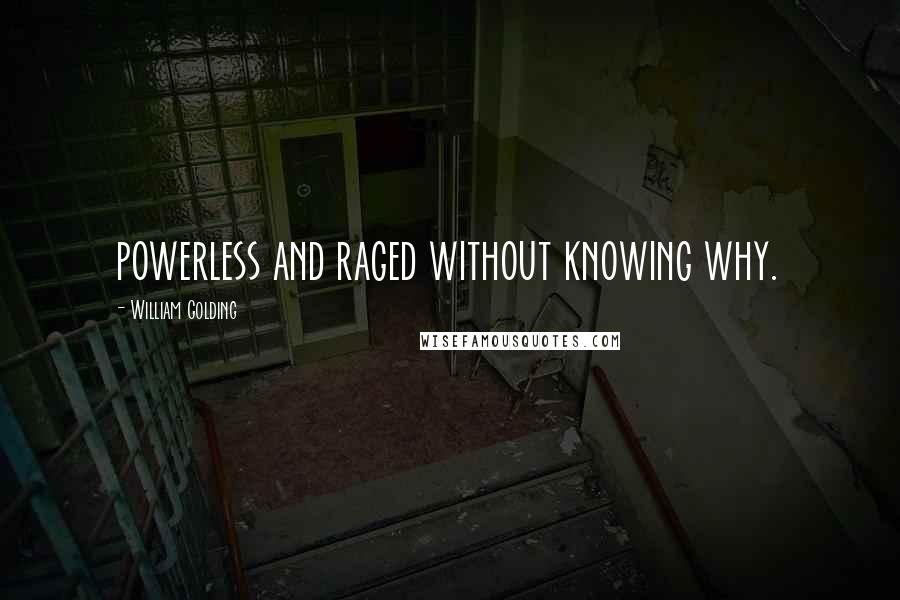 William Golding Quotes: powerless and raged without knowing why.