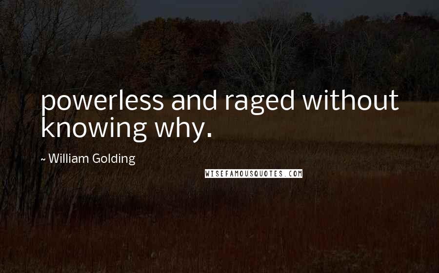 William Golding Quotes: powerless and raged without knowing why.