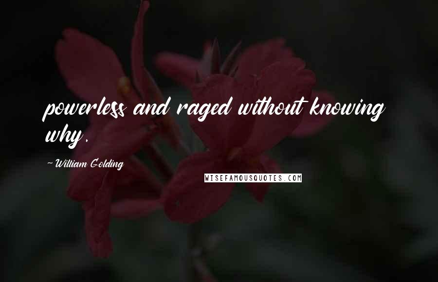 William Golding Quotes: powerless and raged without knowing why.