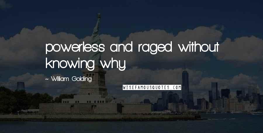 William Golding Quotes: powerless and raged without knowing why.