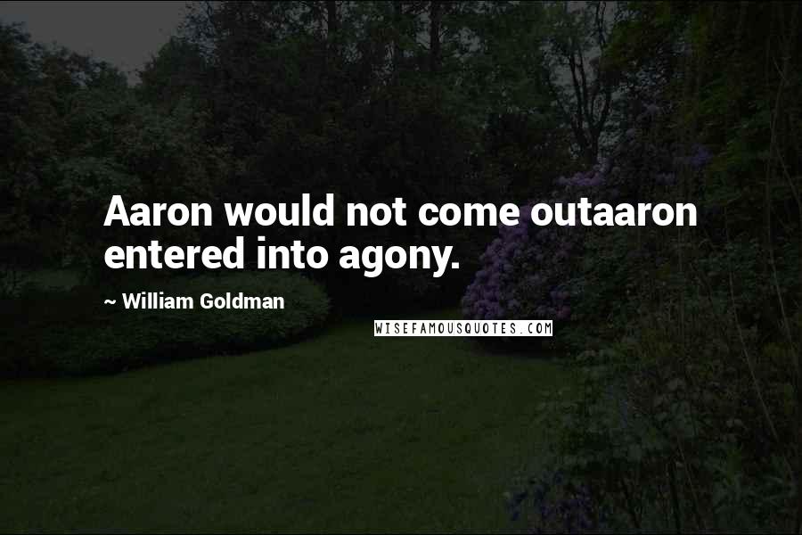 William Goldman Quotes: Aaron would not come outaaron entered into agony.