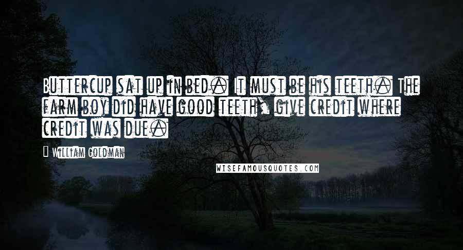 William Goldman Quotes: Buttercup sat up in bed. It must be his teeth. The farm boy did have good teeth, give credit where credit was due.