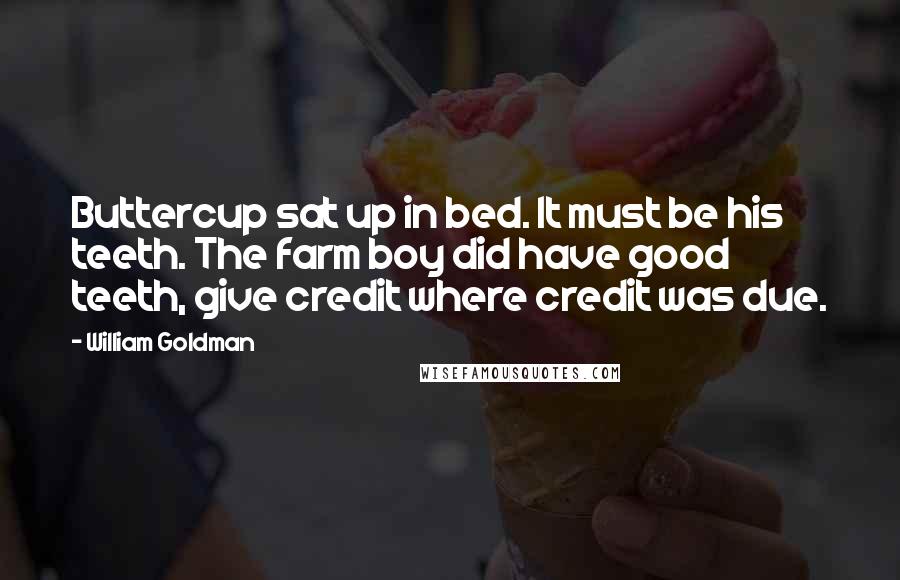 William Goldman Quotes: Buttercup sat up in bed. It must be his teeth. The farm boy did have good teeth, give credit where credit was due.