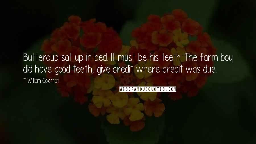 William Goldman Quotes: Buttercup sat up in bed. It must be his teeth. The farm boy did have good teeth, give credit where credit was due.