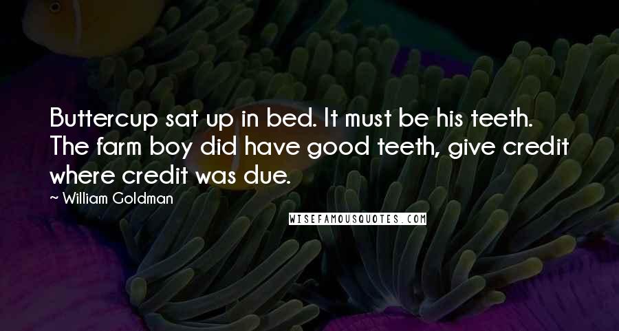 William Goldman Quotes: Buttercup sat up in bed. It must be his teeth. The farm boy did have good teeth, give credit where credit was due.