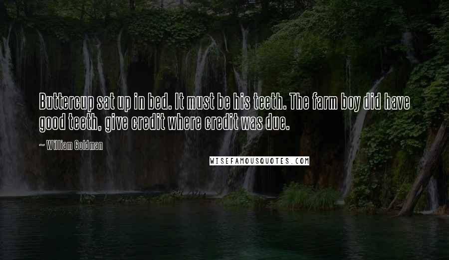 William Goldman Quotes: Buttercup sat up in bed. It must be his teeth. The farm boy did have good teeth, give credit where credit was due.