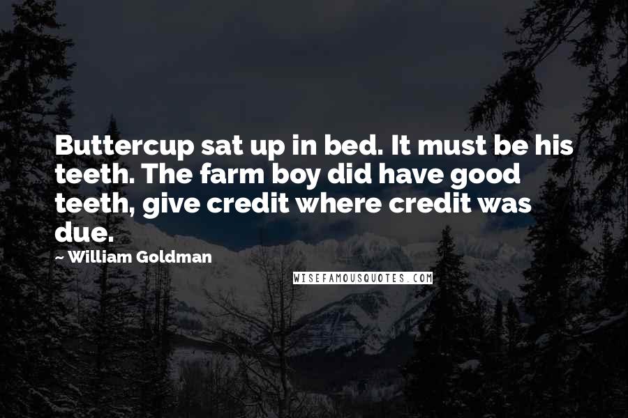 William Goldman Quotes: Buttercup sat up in bed. It must be his teeth. The farm boy did have good teeth, give credit where credit was due.