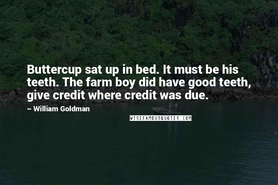 William Goldman Quotes: Buttercup sat up in bed. It must be his teeth. The farm boy did have good teeth, give credit where credit was due.