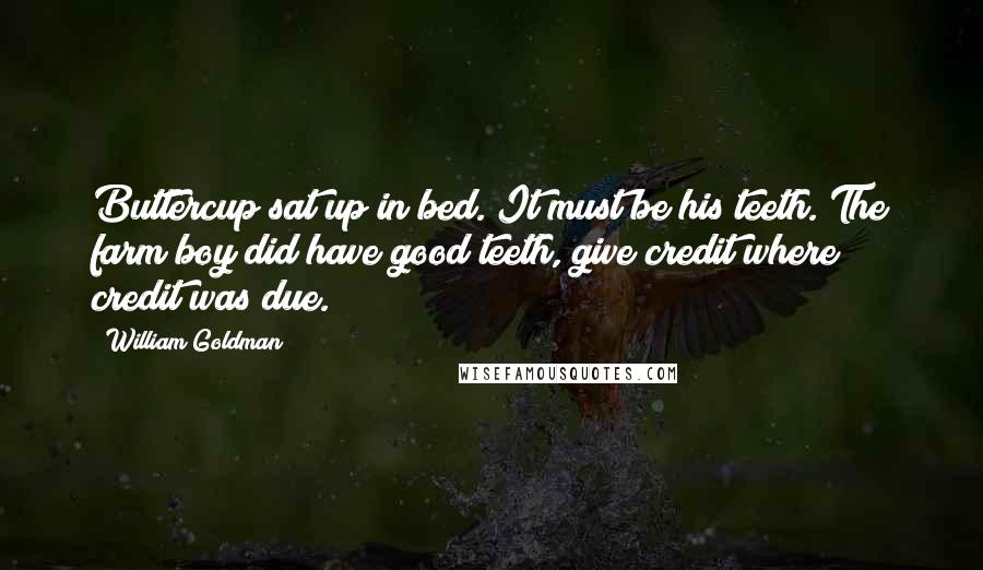 William Goldman Quotes: Buttercup sat up in bed. It must be his teeth. The farm boy did have good teeth, give credit where credit was due.