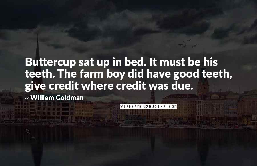 William Goldman Quotes: Buttercup sat up in bed. It must be his teeth. The farm boy did have good teeth, give credit where credit was due.