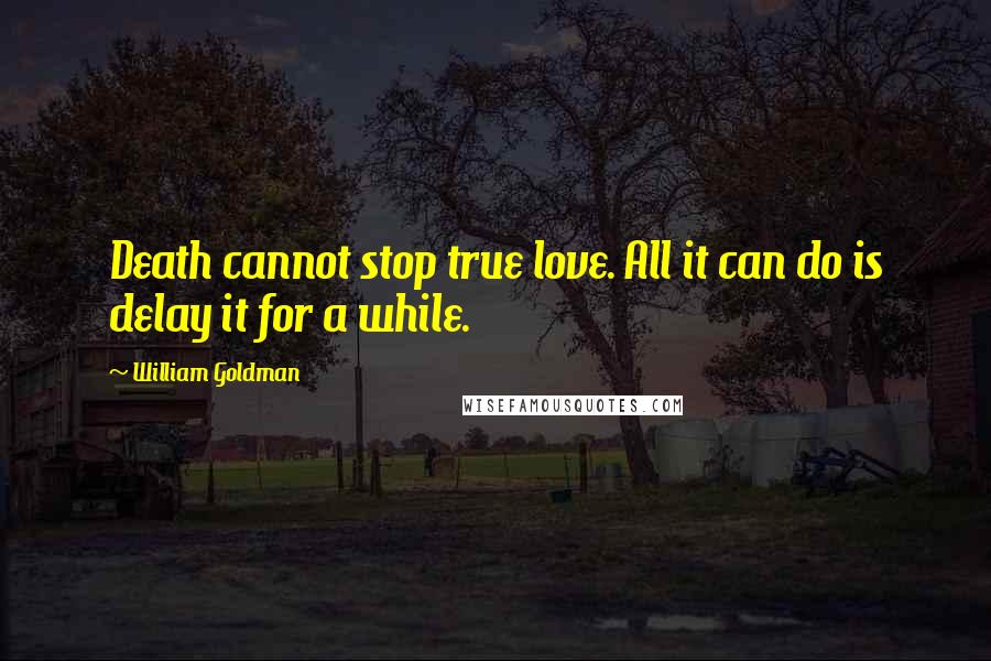 William Goldman Quotes: Death cannot stop true love. All it can do is delay it for a while.