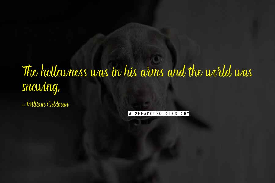 William Goldman Quotes: The hollowness was in his arms and the world was snowing.