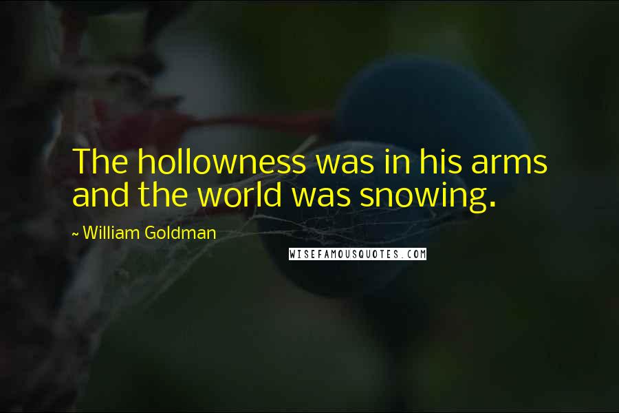 William Goldman Quotes: The hollowness was in his arms and the world was snowing.