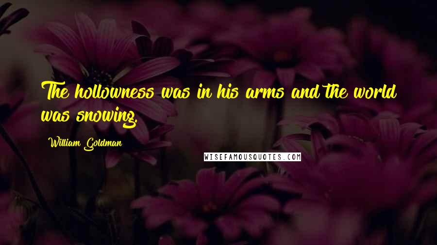 William Goldman Quotes: The hollowness was in his arms and the world was snowing.