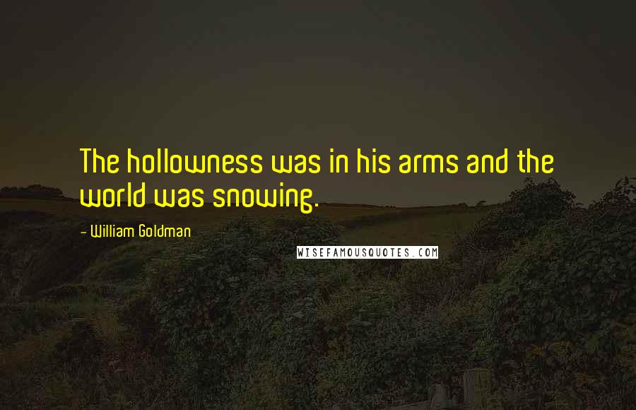 William Goldman Quotes: The hollowness was in his arms and the world was snowing.