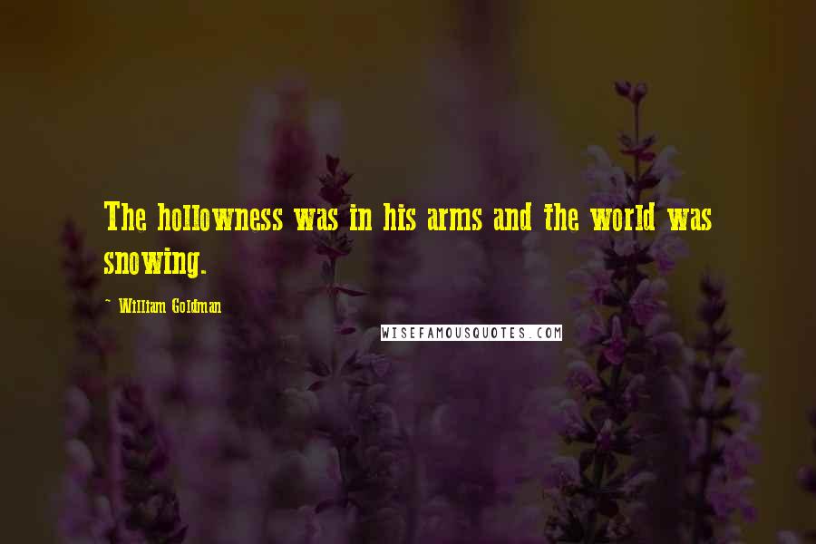 William Goldman Quotes: The hollowness was in his arms and the world was snowing.