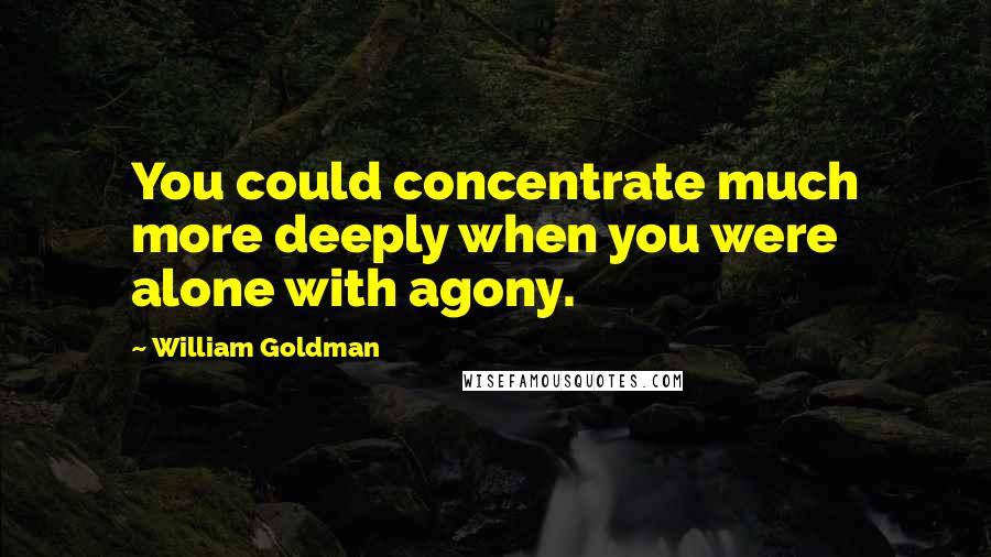 William Goldman Quotes: You could concentrate much more deeply when you were alone with agony.