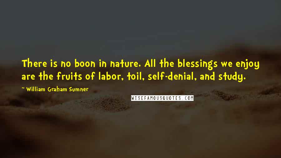 William Graham Sumner Quotes: There is no boon in nature. All the blessings we enjoy are the fruits of labor, toil, self-denial, and study.