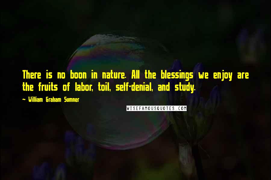 William Graham Sumner Quotes: There is no boon in nature. All the blessings we enjoy are the fruits of labor, toil, self-denial, and study.