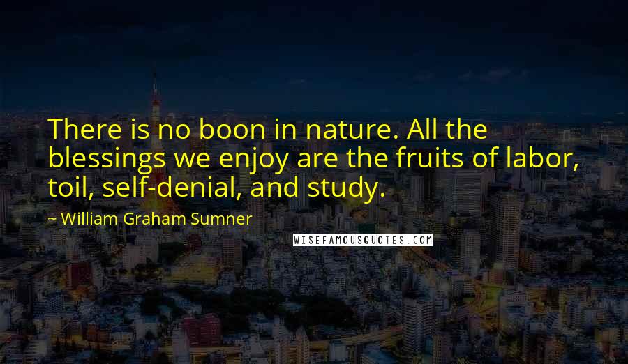 William Graham Sumner Quotes: There is no boon in nature. All the blessings we enjoy are the fruits of labor, toil, self-denial, and study.