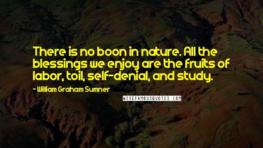 William Graham Sumner Quotes: There is no boon in nature. All the blessings we enjoy are the fruits of labor, toil, self-denial, and study.